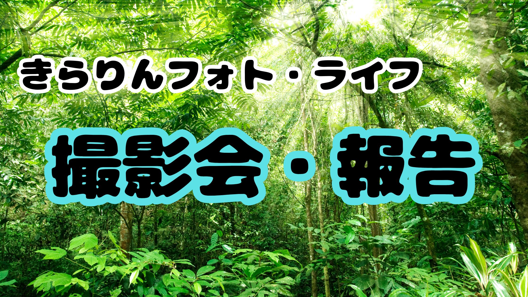 撮影会レポート・お客様の声｜きらりんフォト