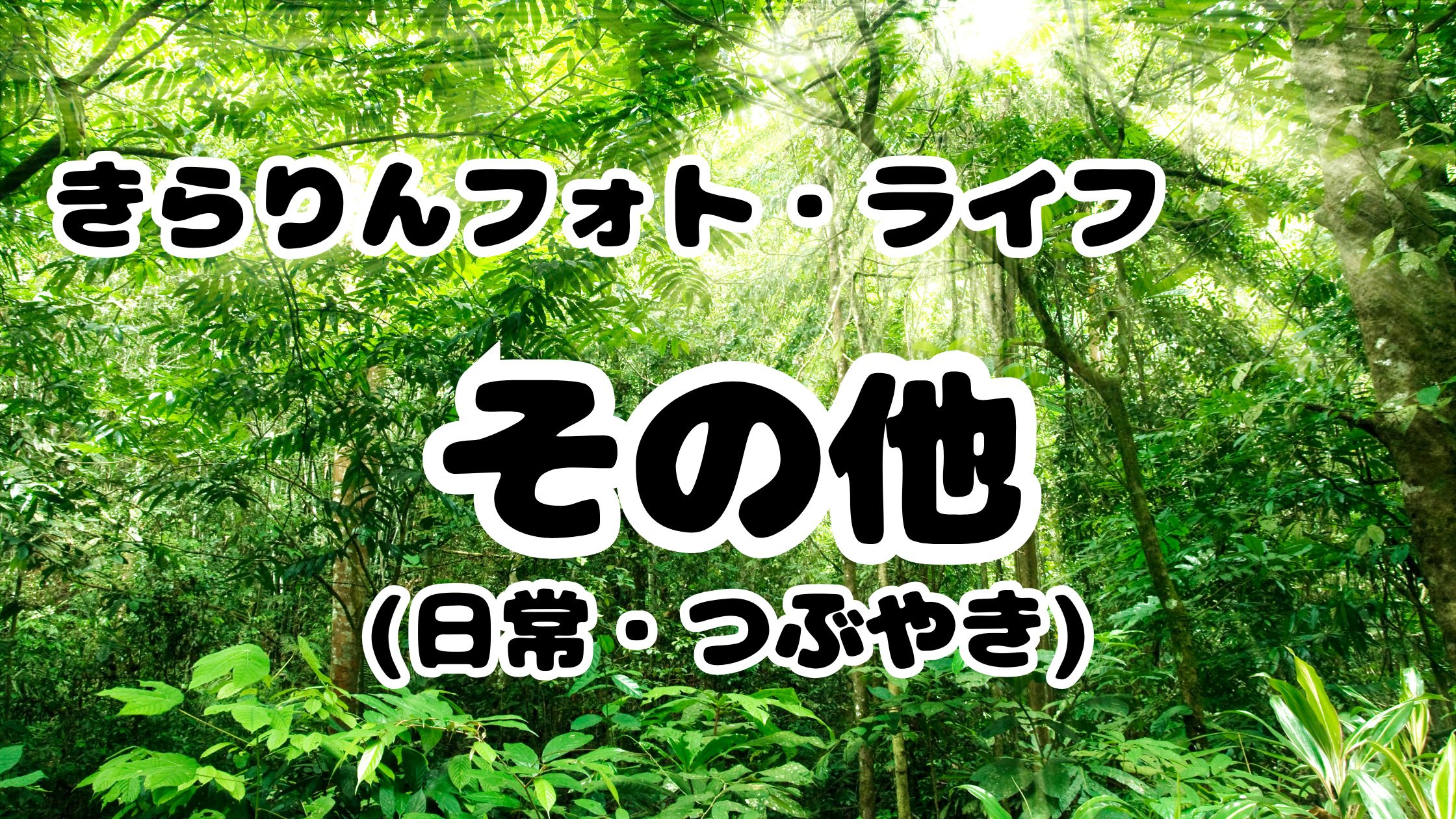 きらりんフォトのお知らせ・その他記事