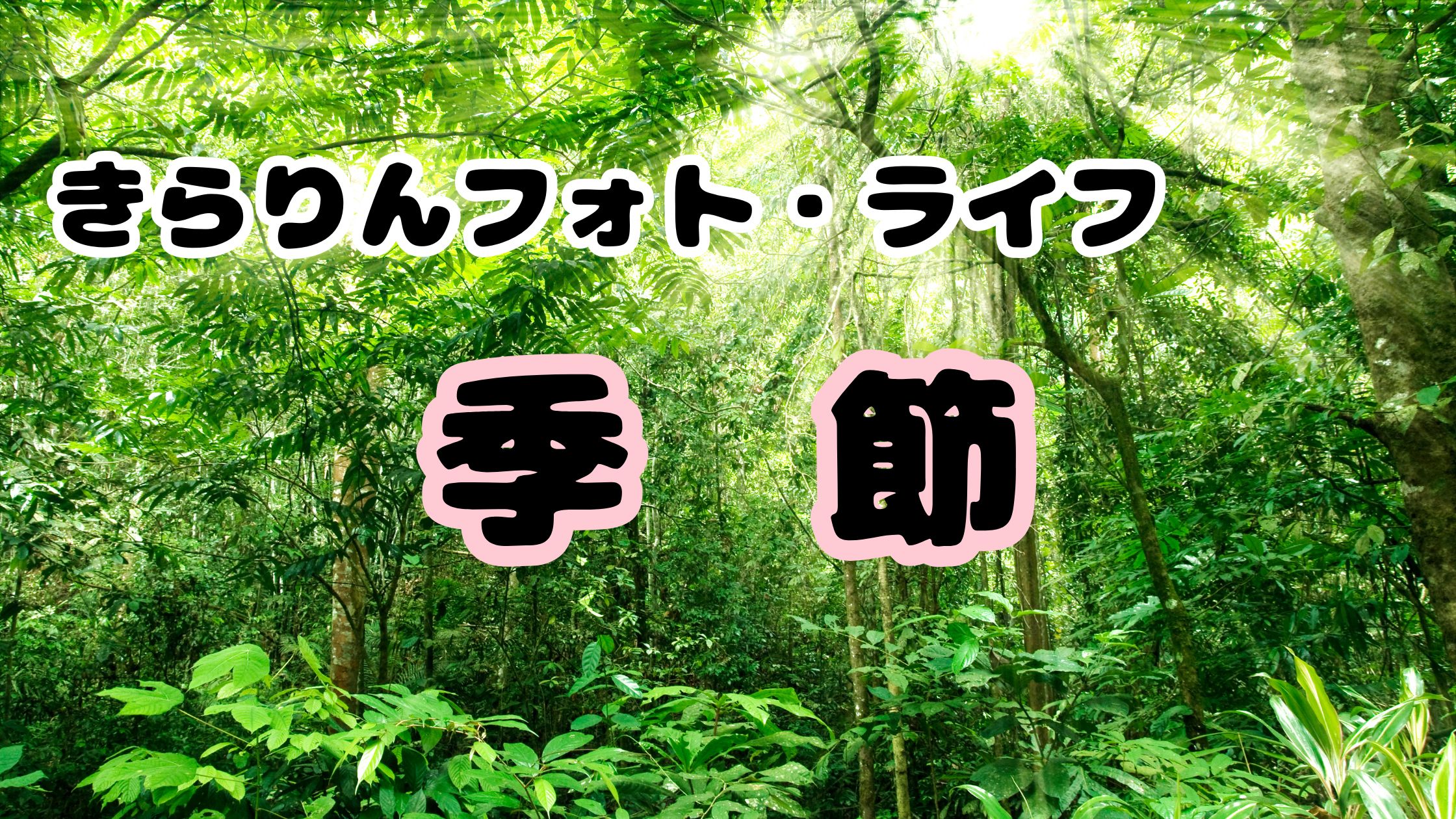 季節のフォトアイデア・撮影レポート｜きらりんフォト