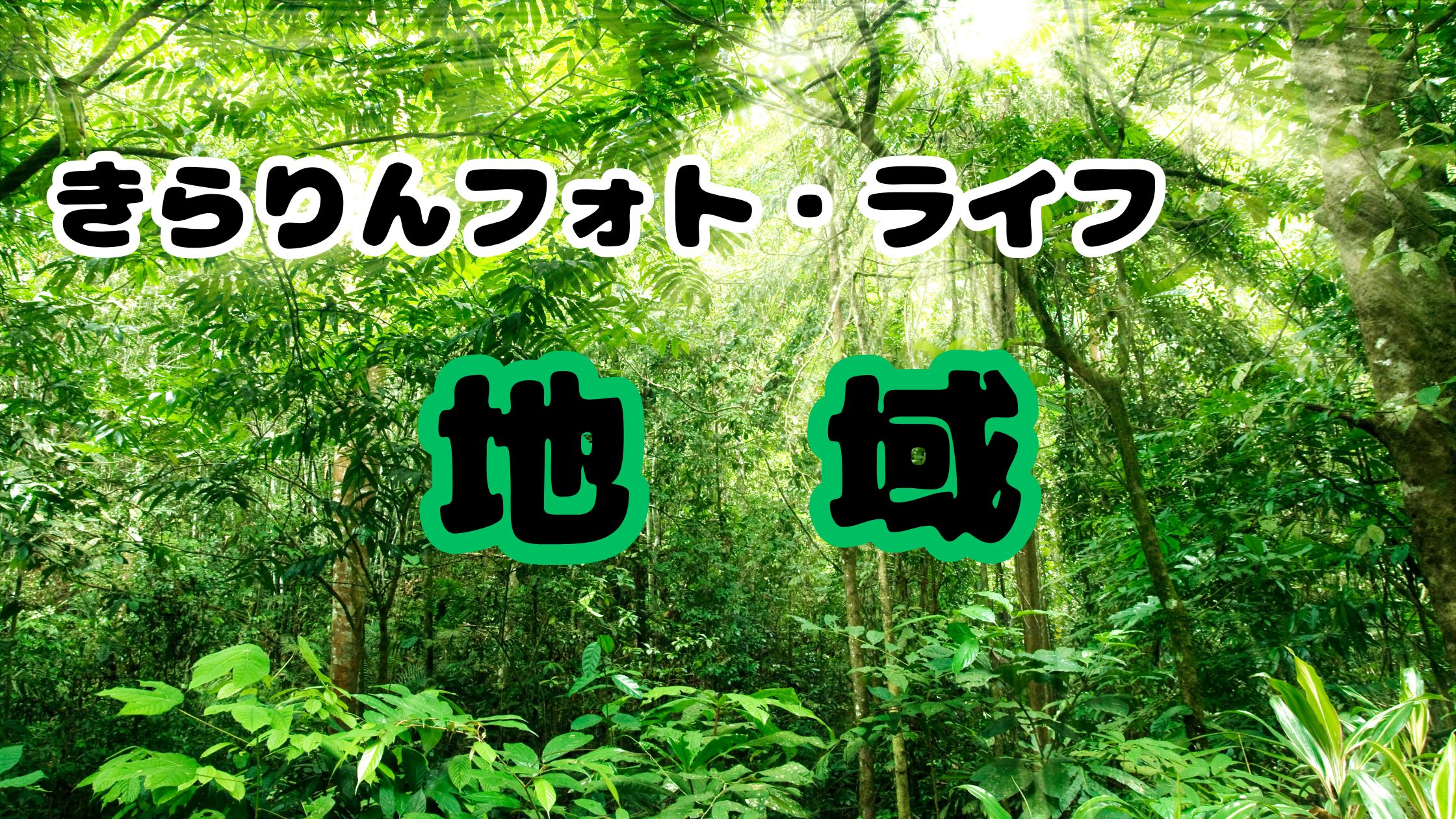 関西(神戸・大阪・京都)の出張撮影スポット情報｜きらりんフォト