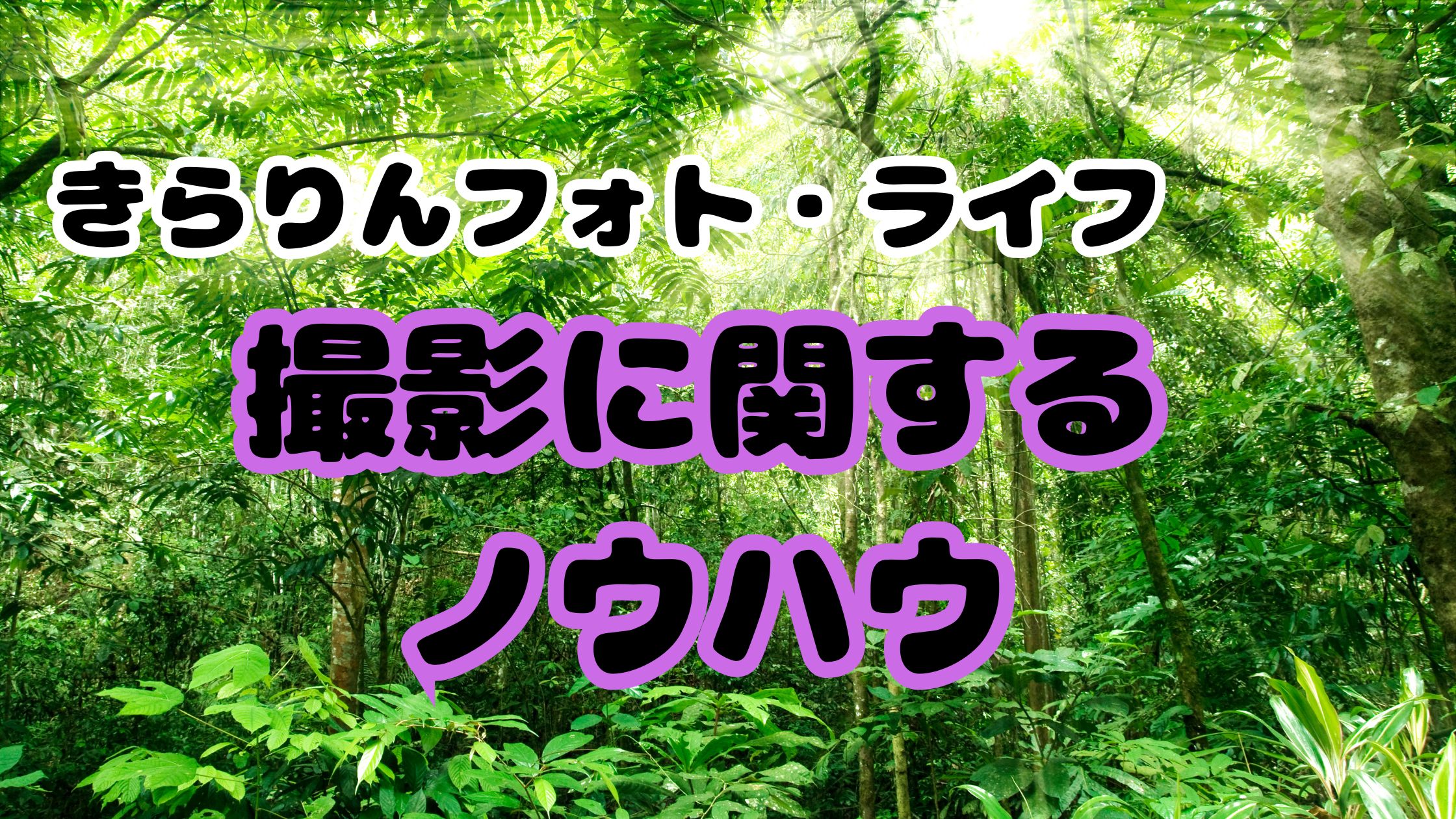 撮影テクニック・カメラノウハウまとめ｜きらりんフォト