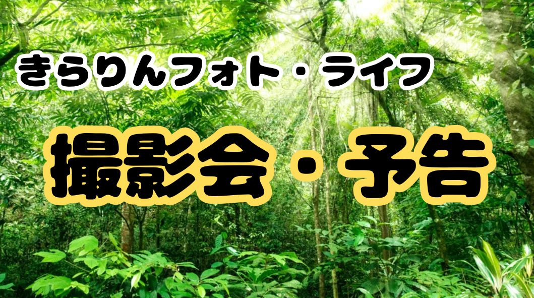 【随時追加】撮影会予告一覧｜きらりんフォト