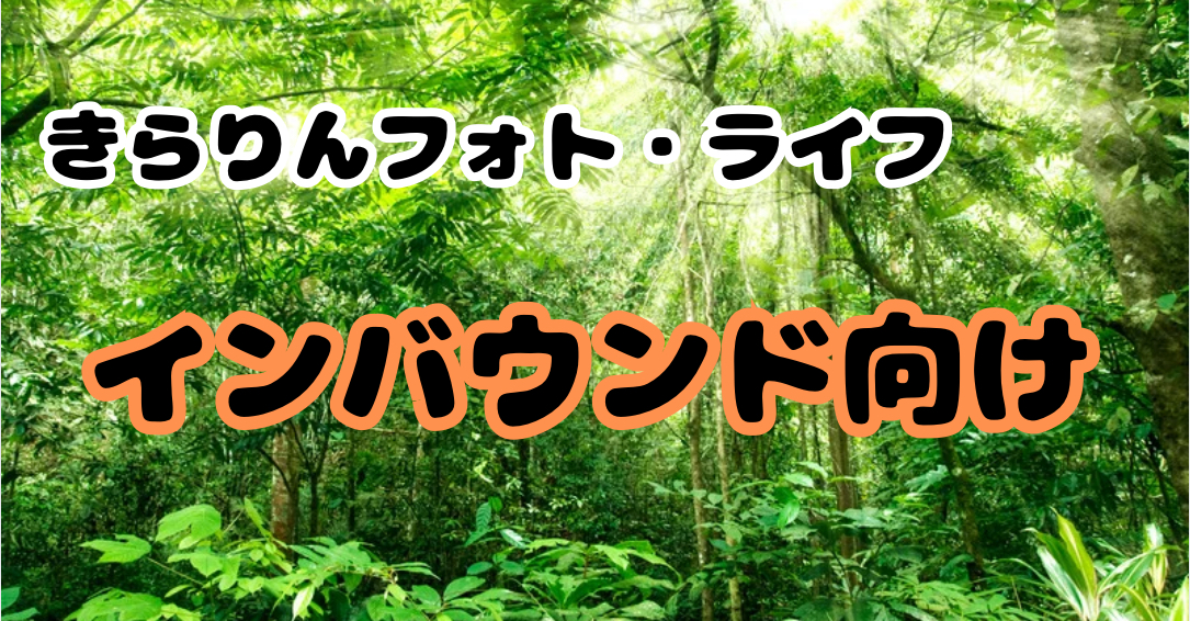 インバウンド向け
