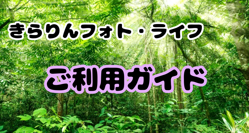 きらりんフォトご利用ガイド｜撮影の流れ・料金・こだわりと想い