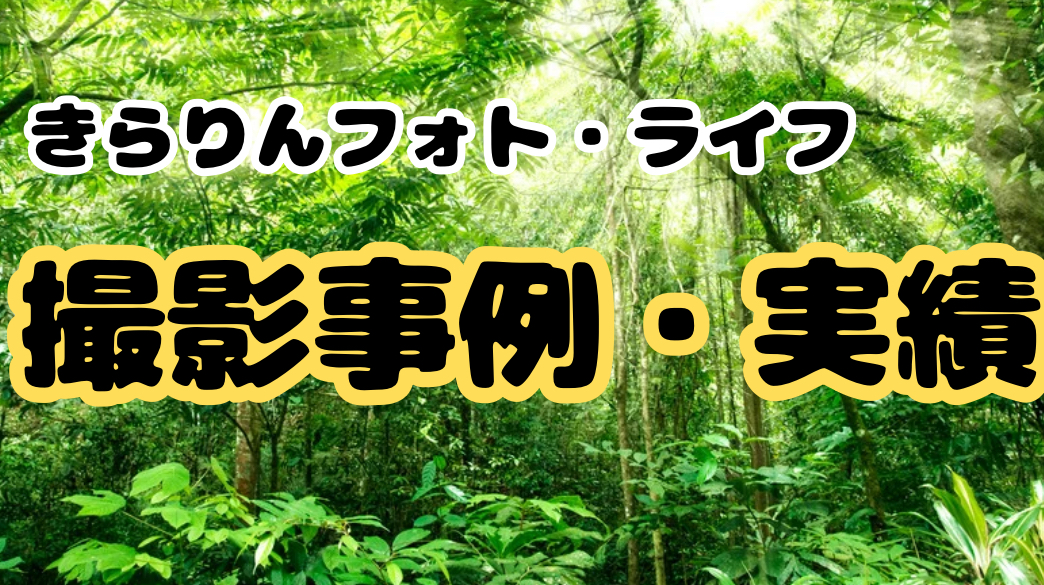 きらりんフォトの撮影事例・実績｜家族写真・記念撮影のギャラリー