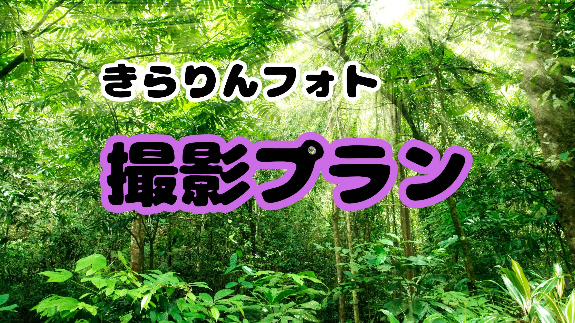 きらりんフォト｜出張撮影の撮影プラン一覧【家族撮影・子ども撮影】