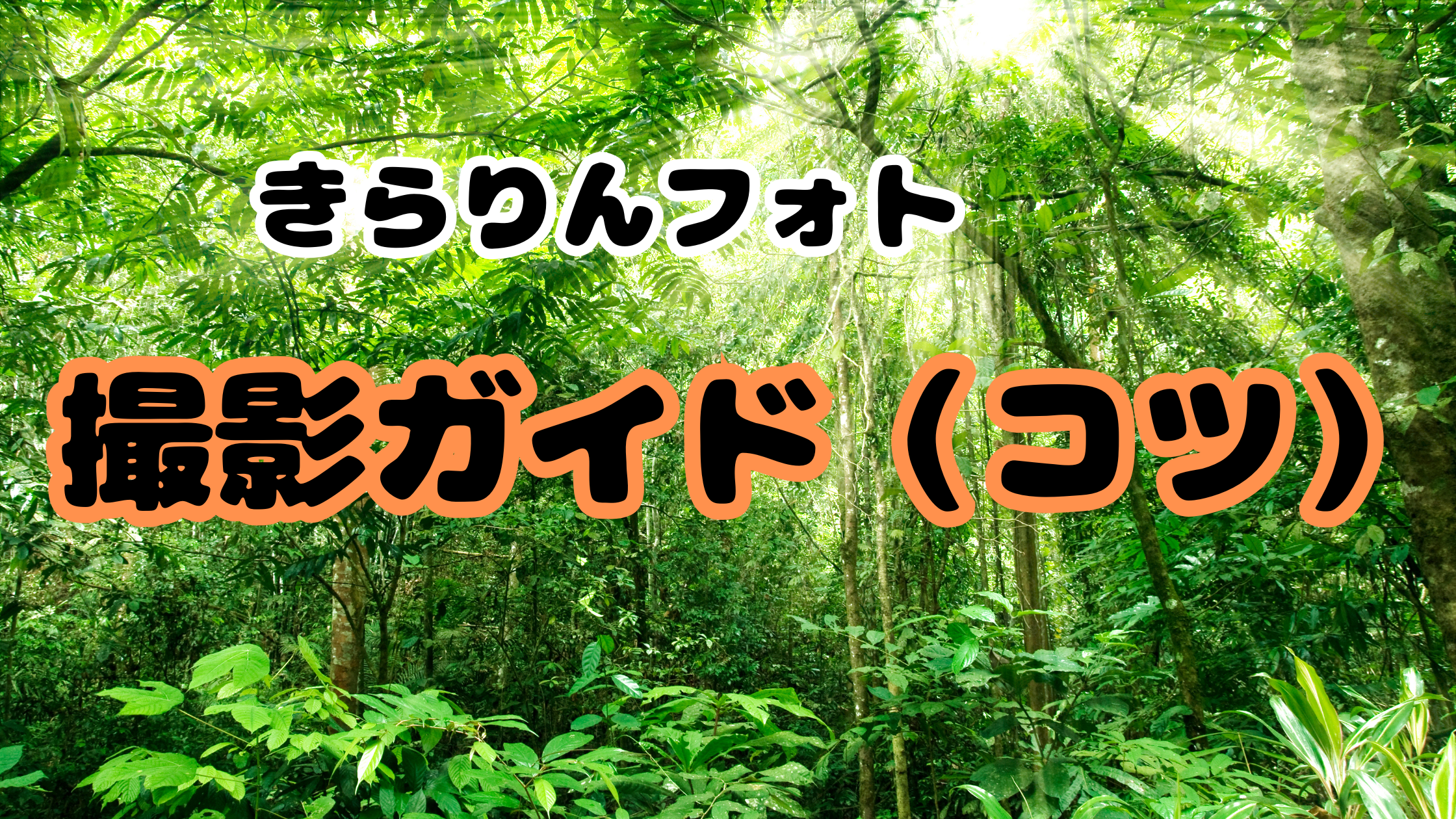 撮影テクニック・カメラノウハウまとめ｜きらりんフォト