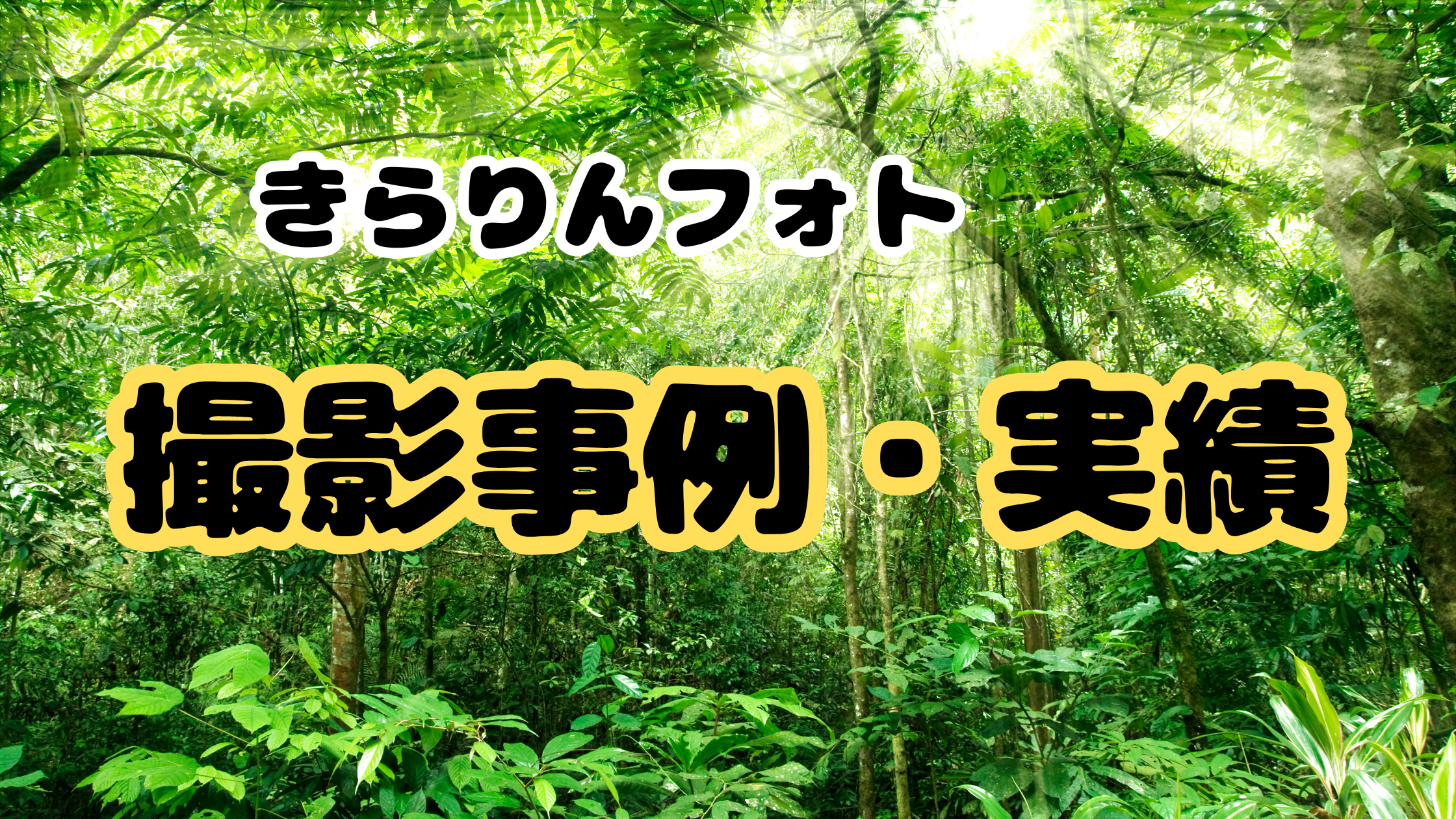 きらりんフォトの撮影事例・実績｜家族写真・記念撮影のギャラリー